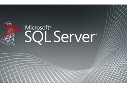 SQL | Convert / Cast Kullanımı